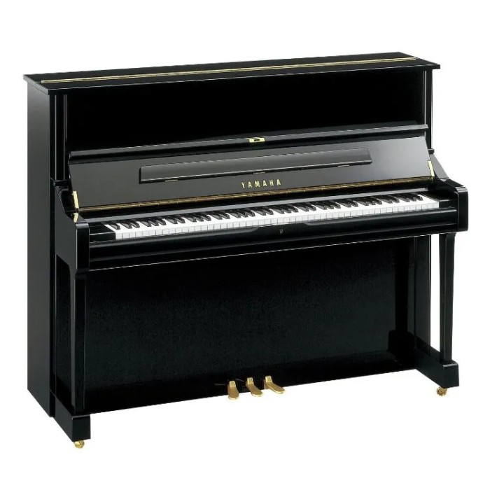 U1-Polished-Ebony-1