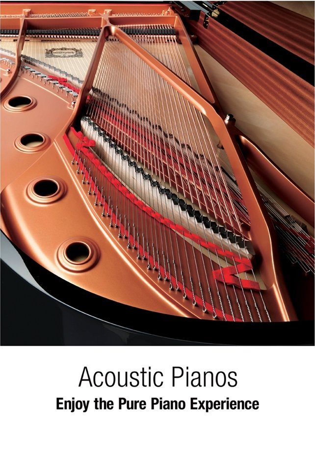 Acoustic Pianos - Enjoy the Pure Piano Experience