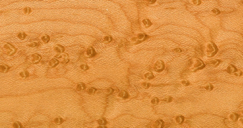 Birdseye Maple Birdseye Maple