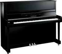 B3 PEC B3 Polished Ebony Chrome