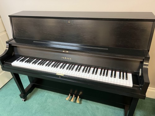 Yamaha P22 BAO 248194sml