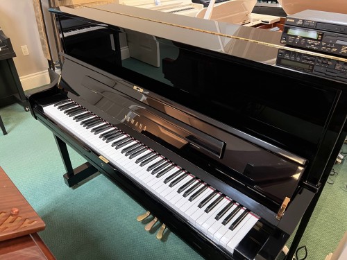 Yamaha DU1A 5990180sml