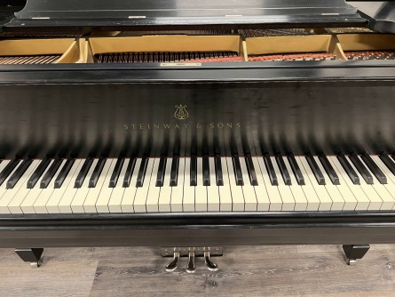 Steinway M 40187sml
