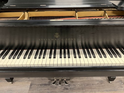 Steinway M 40187sml