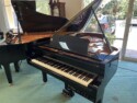 DC6PE Disklavier