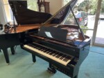 DC6PE Disklavier
