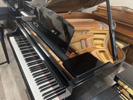Yamaha-DGH1 Yamaha DGH1