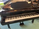 Weber-WG150-PE
