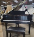 Yamaha-C1-SE-Naples