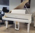 YamahaDC3X-Naples