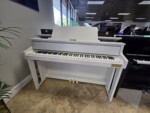 Casio Celviano GP Naples