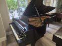 Steinway-D