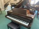 Bosendorfer 170 Mah