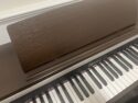 Casio-AP220-RW