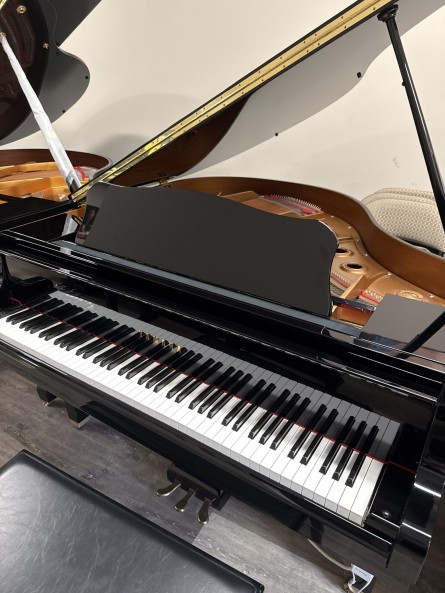Yamaha-GB1P-PE