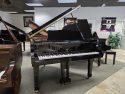 Yamaha-G1-Naples