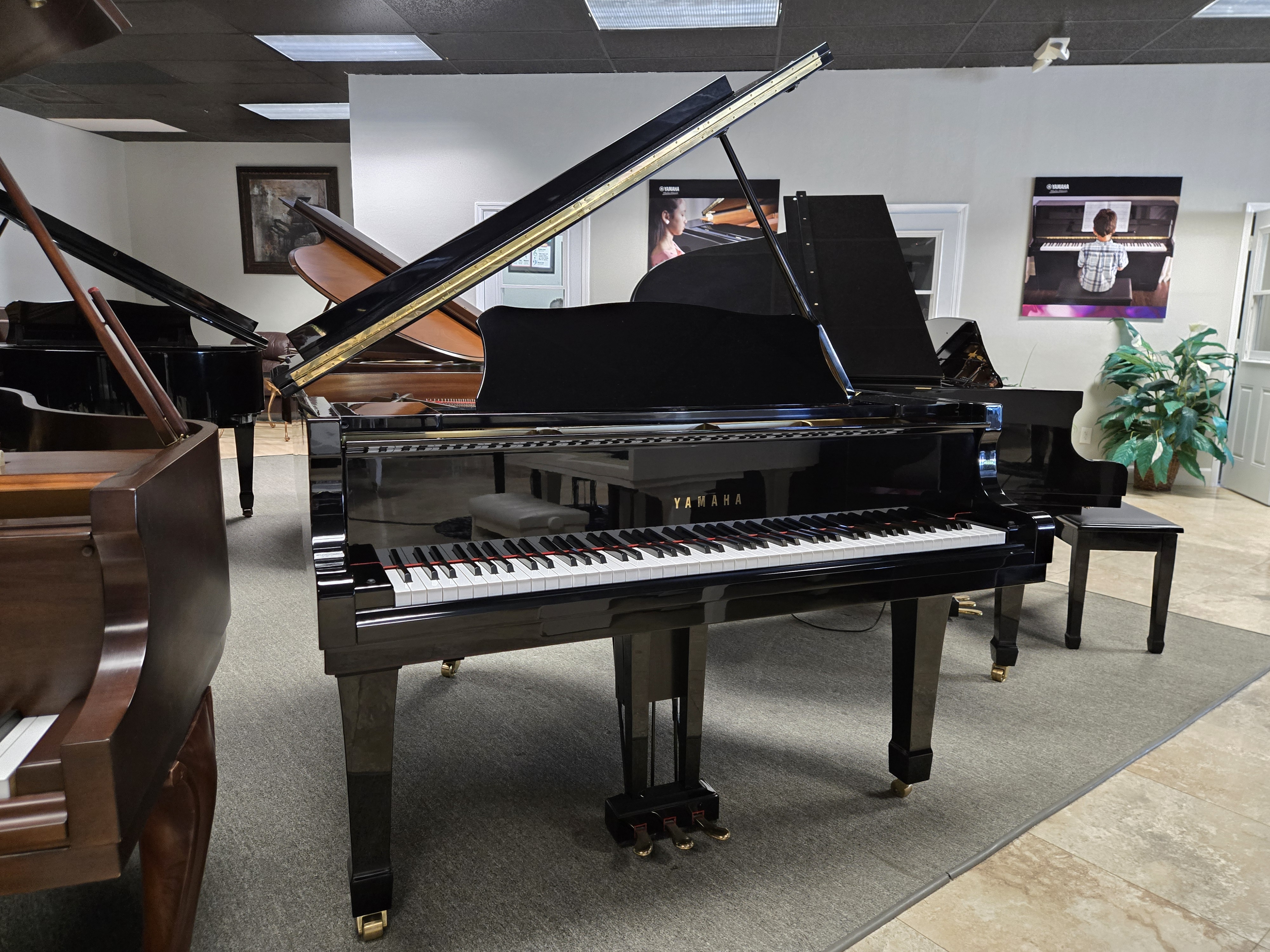 Yamaha-G1-Naples