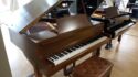 Yamaha-GO-818702