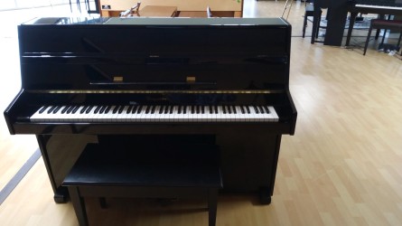 BergmanE109