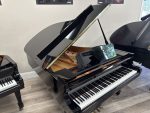 Yamaha-DC5M4-6172412