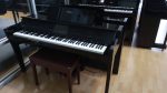 CVP809PE