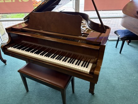 Yamaha-G2-PAW