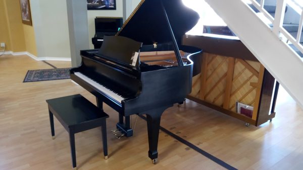 Kawai-KG2W-SE Kawai-KG2W-SE