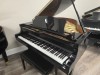 Yamaha-G1