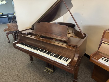 Steinway-M-218366
