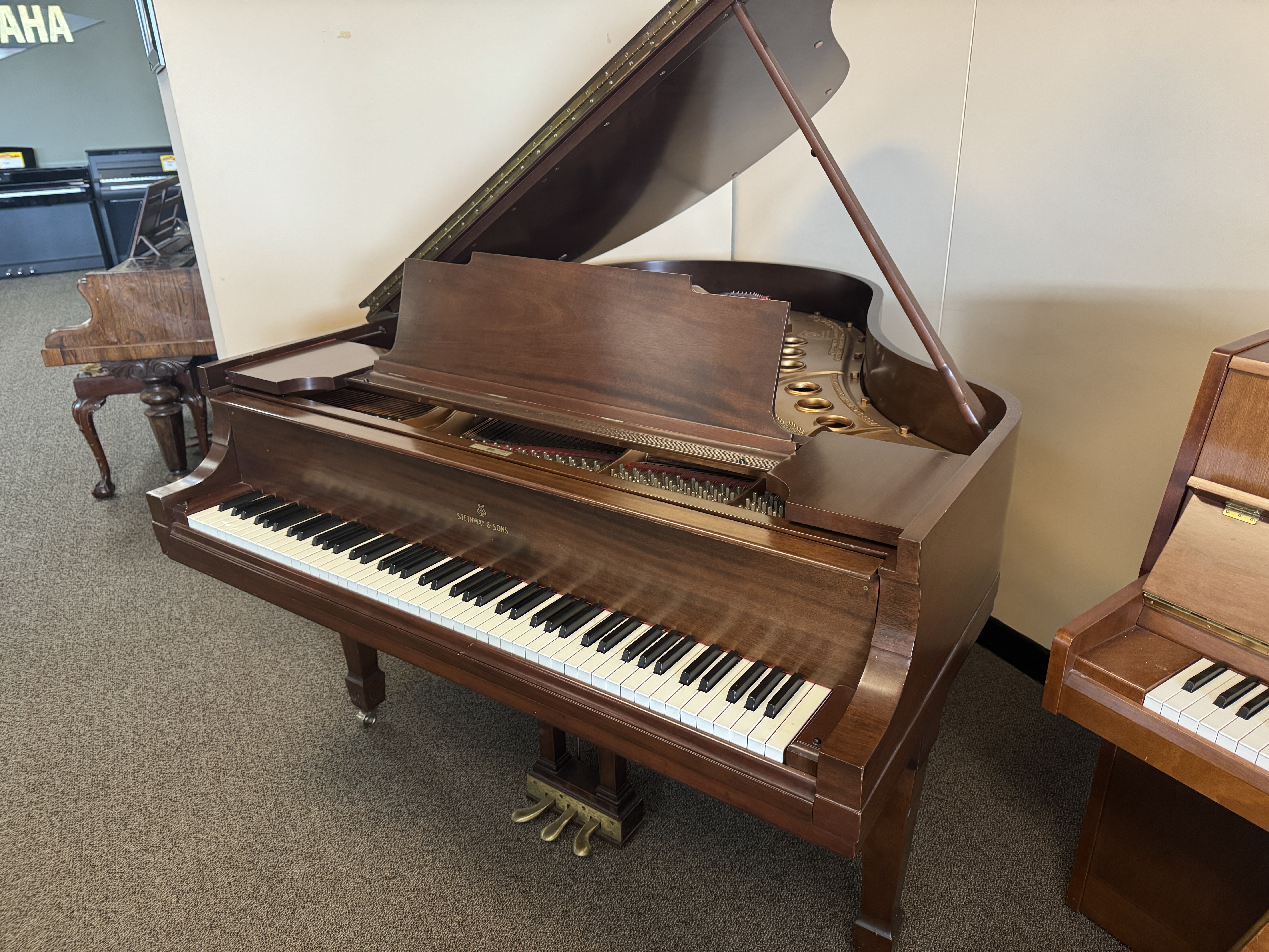 Steinway-M-218366 Steinway-M-218366
