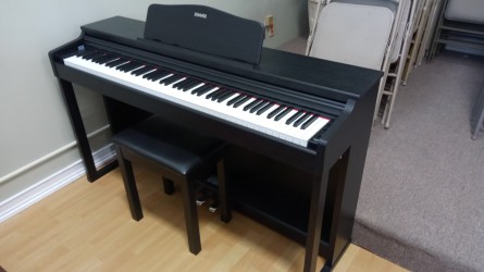 Donner-DP100S