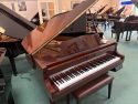 Yamaha-DGB1K-PWAL