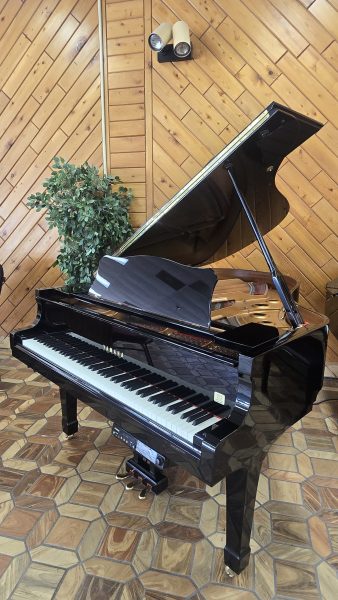 Yamaha-DC3M3