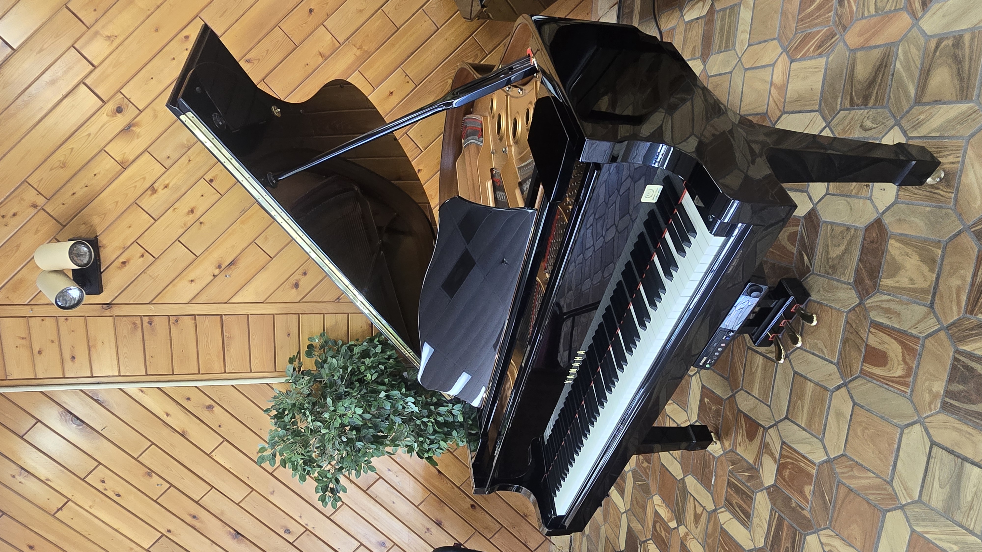 Yamaha-DC3M3