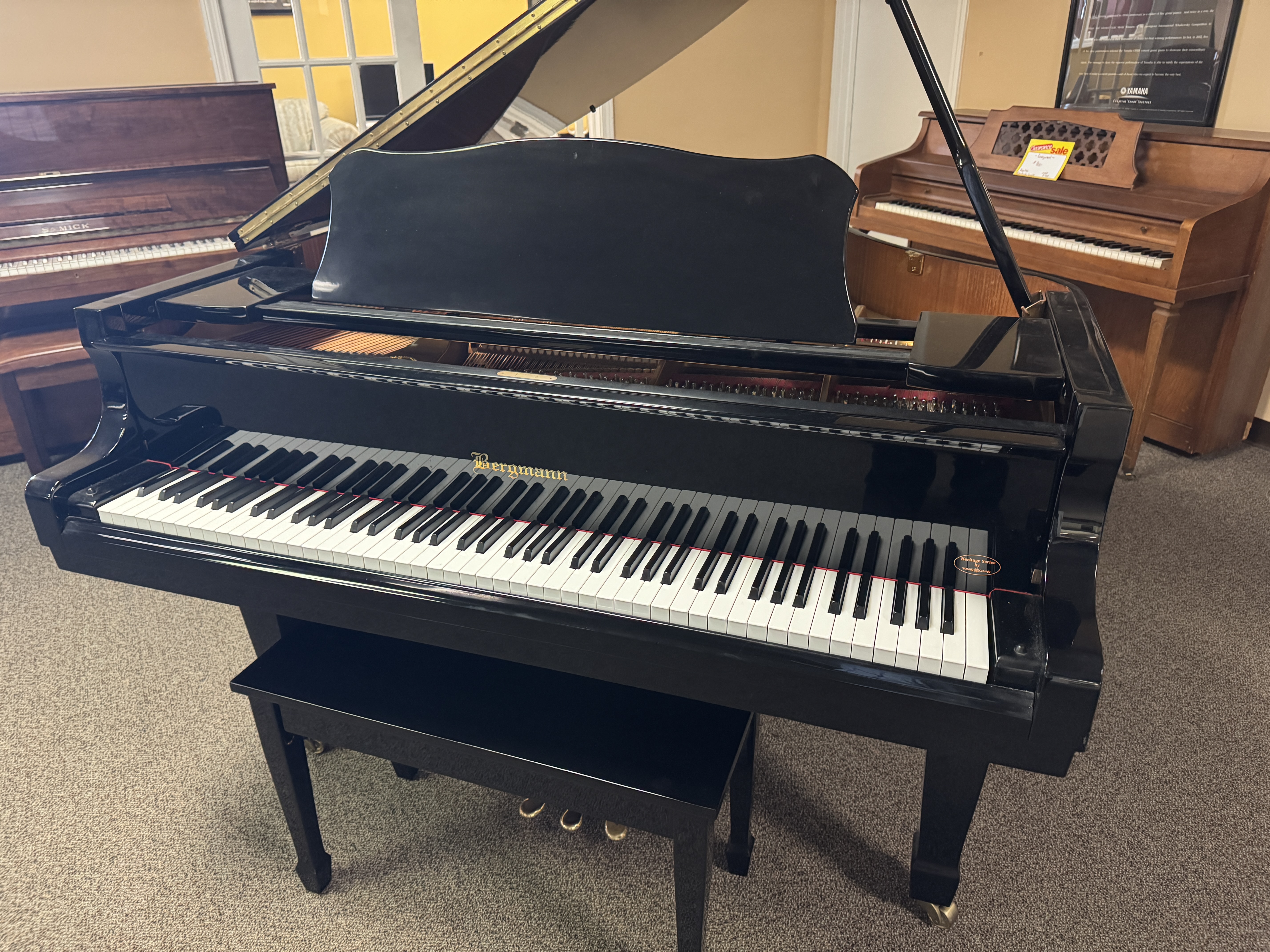Bergmann-TG-150